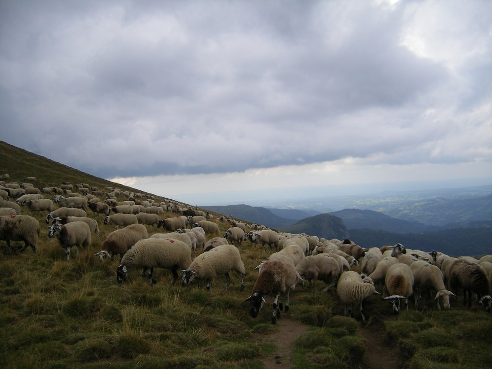 photo massif central (septembre 2006) 233.jpg