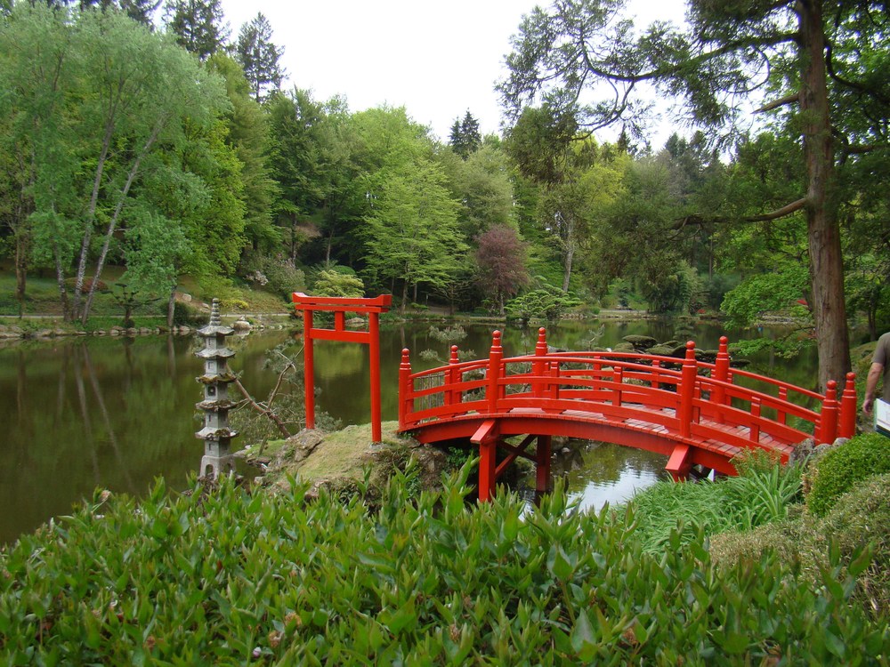 DSC08509 2.jpg