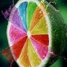 verveine citronnelle