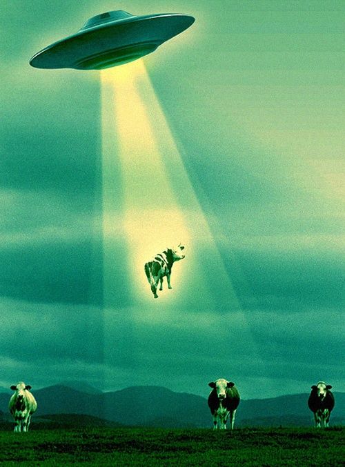 fe4a0c2bf906acb5c263a6ab391fa067--cows-alien-abduction.jpg