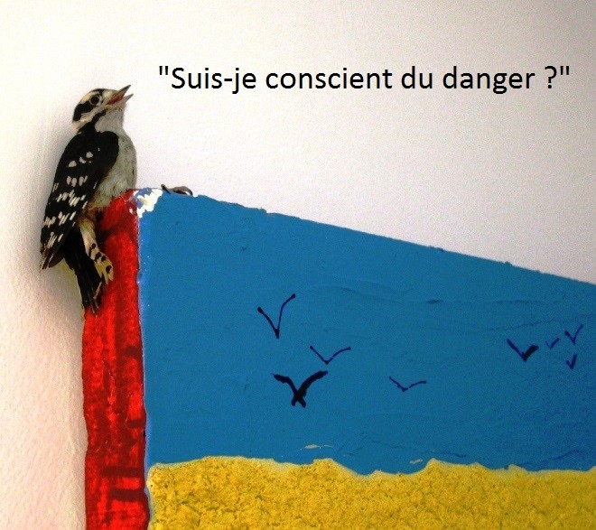 oiseau_art_conscience.jpg