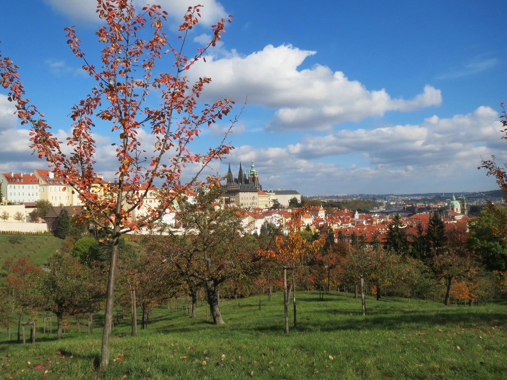 prague1.jpg