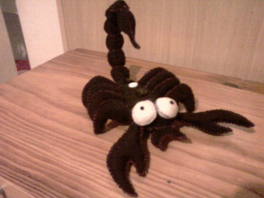 Scorpion_02.jpg