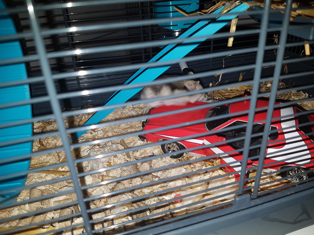 20180329_032428.jpg