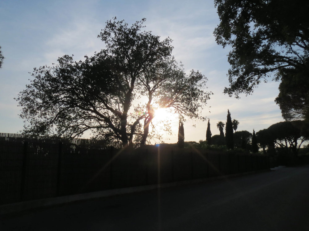 N9.jpg