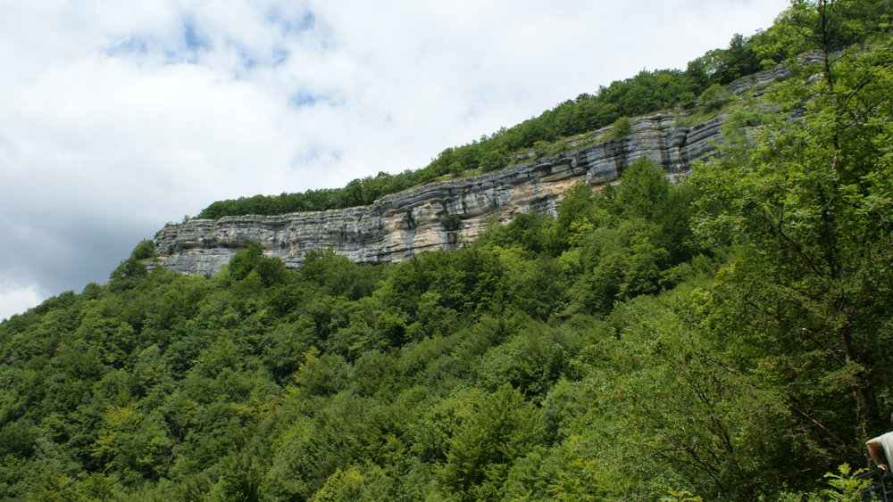 DSC01105.JPG
