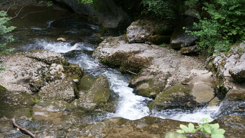 DSC01118.JPG