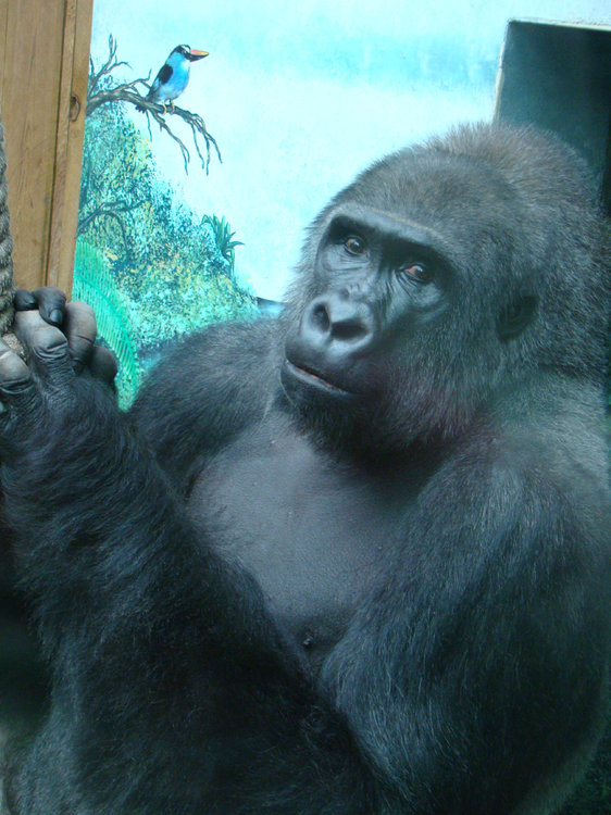 DSC05017.thumb.jpg.6fc09535c3c4d3787cd5dfdbb2483b34.jpg