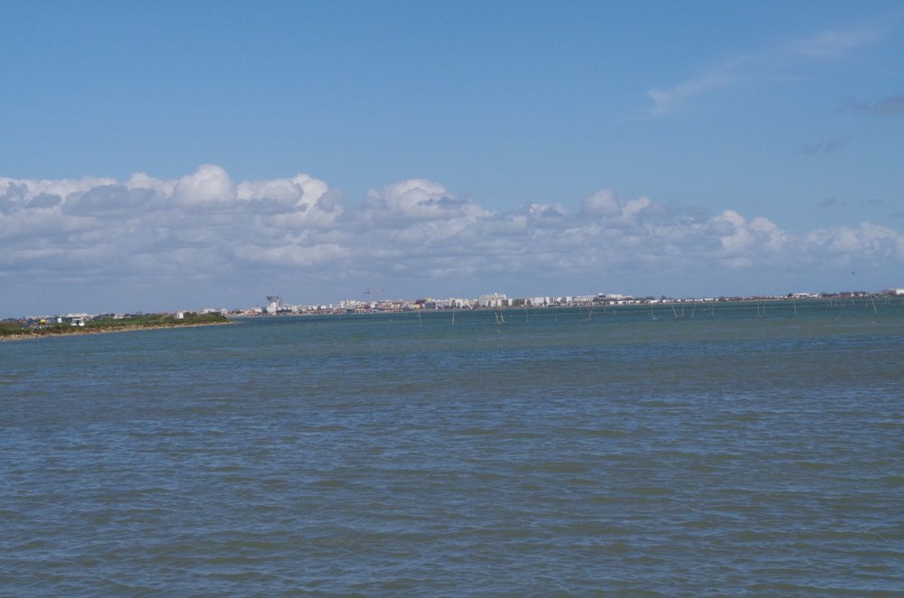IMGP0609.JPG