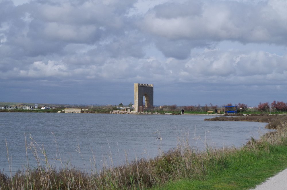 IMGP0644.JPG