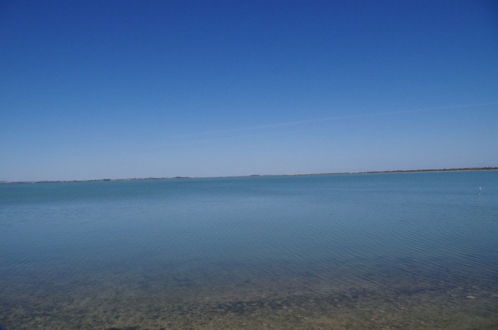 IMGP0671.JPG