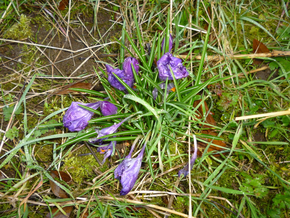 P1050034.JPG