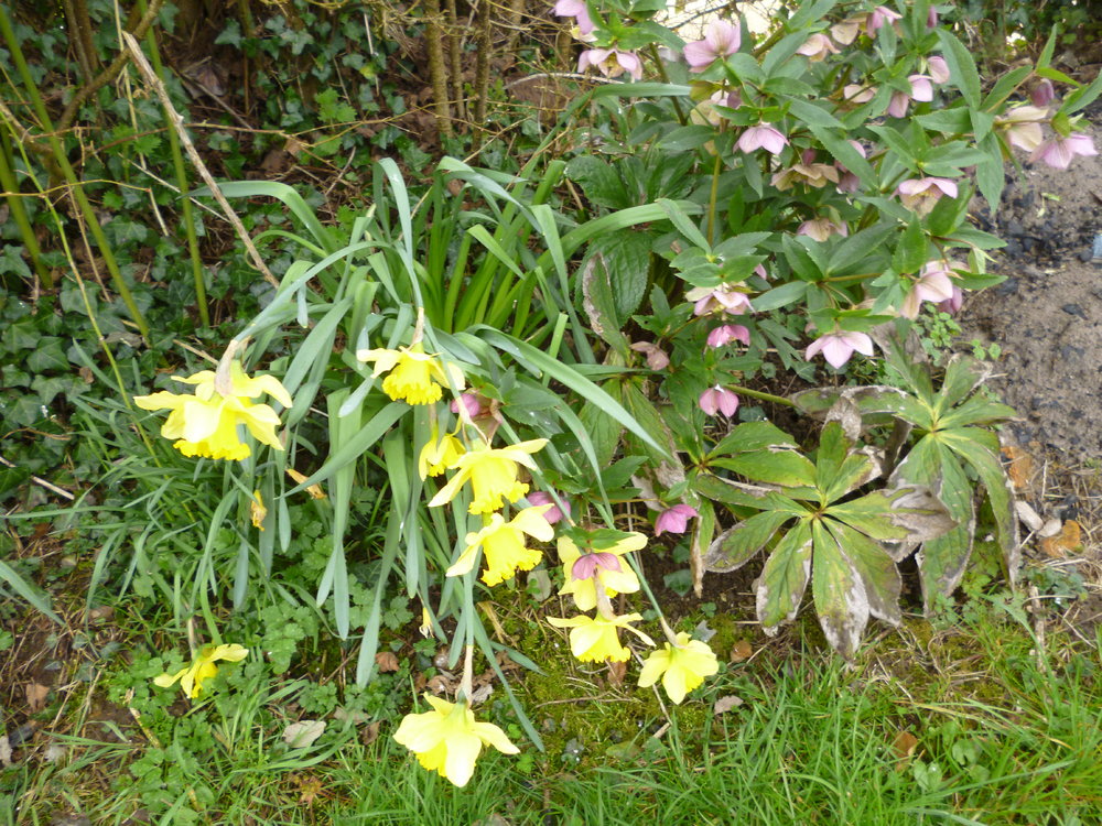 P1050049.JPG