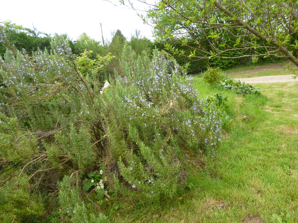 P1050075.JPG