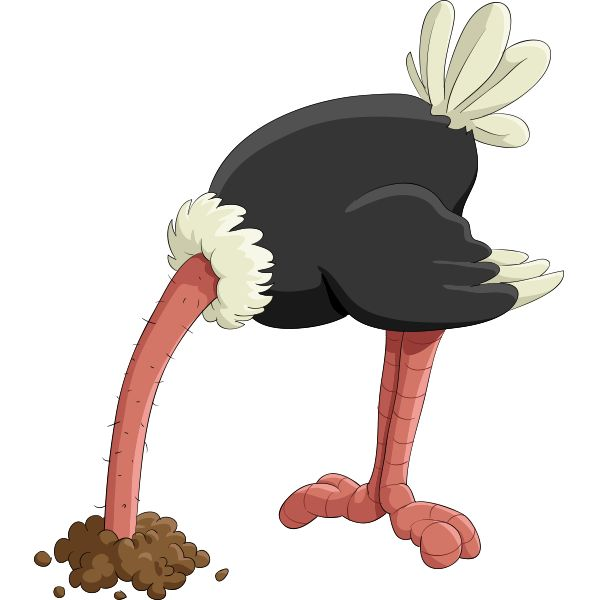 image.png.d6cad6f12c3870861404736a5240a626.png