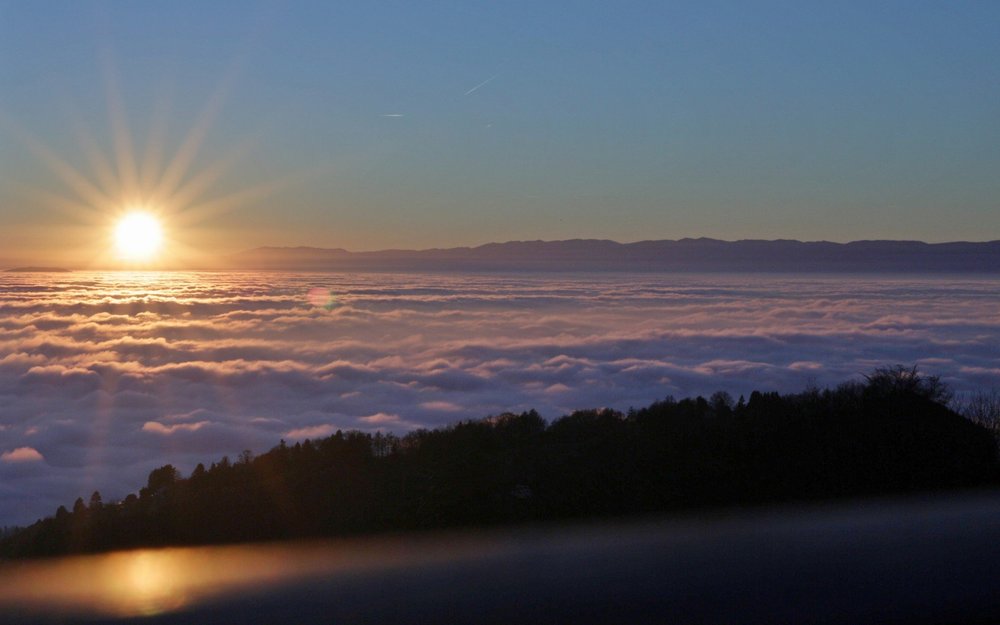 1271958255_Shoot2016_12.10CouchDeSoleil.thumb.JPG.c4edc349d8f54a80bc6fad6db8dce01a.JPG