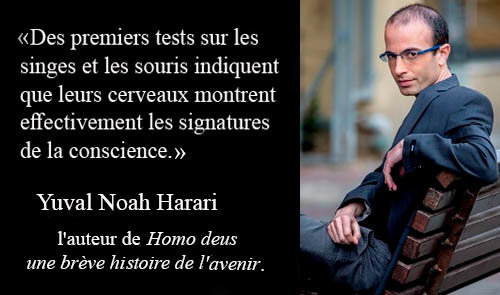 «Des premiers tests sur les singes et les souris indiquent que leurs cerveaux montrent effectivement les signatures de la conscience. »