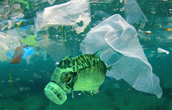 1962411235_pollution_science_plastique_ocan.jpg.0f92ddc6074c1c278650e10cb76634e3.jpg