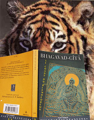 Tigre en train de lire la Bhagavad-gita