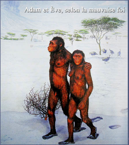1105202103_volution-singe-adam_ve.jpg.9d17df6c985b145f2ef658c3837f8719.jpg