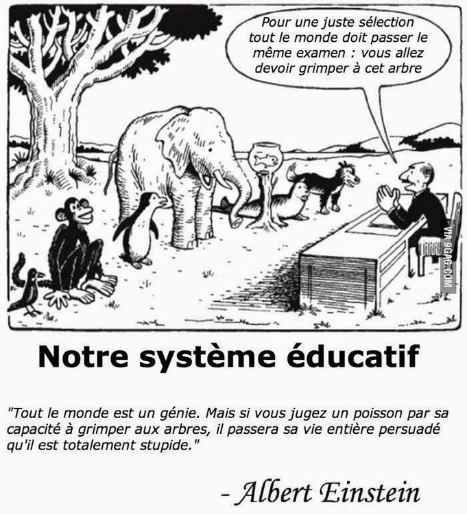 éducatioin.jpg