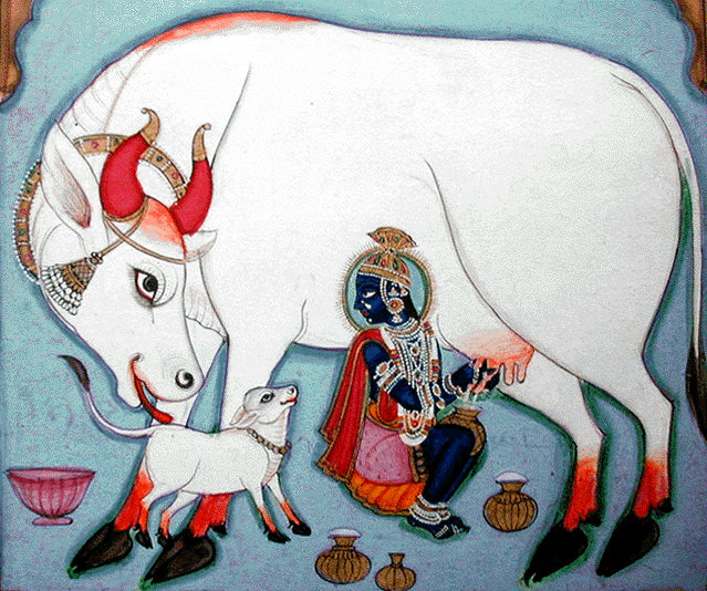 Krishna, ou Govinda, celui qui aime les vaches