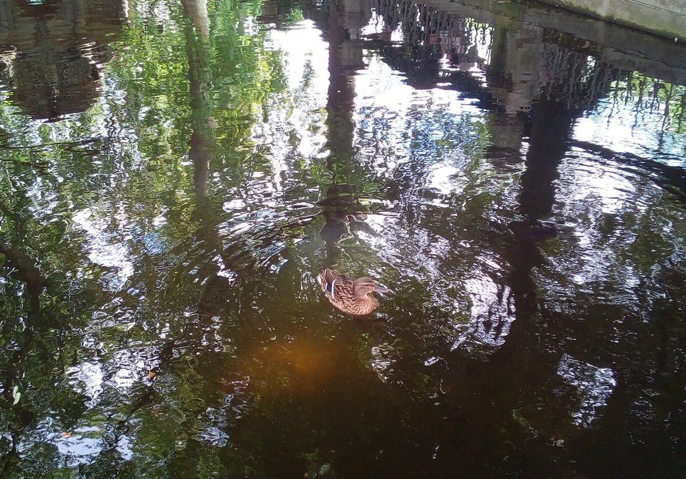 REFLET2.jpg