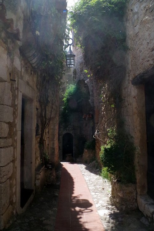 IMGP1186.JPG