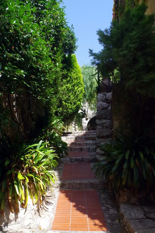 IMGP1195.JPG