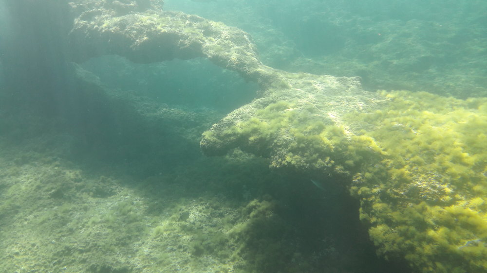 20180508_104820.jpg