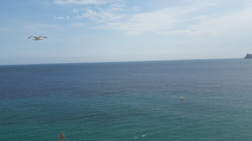 20180510_140717.jpg