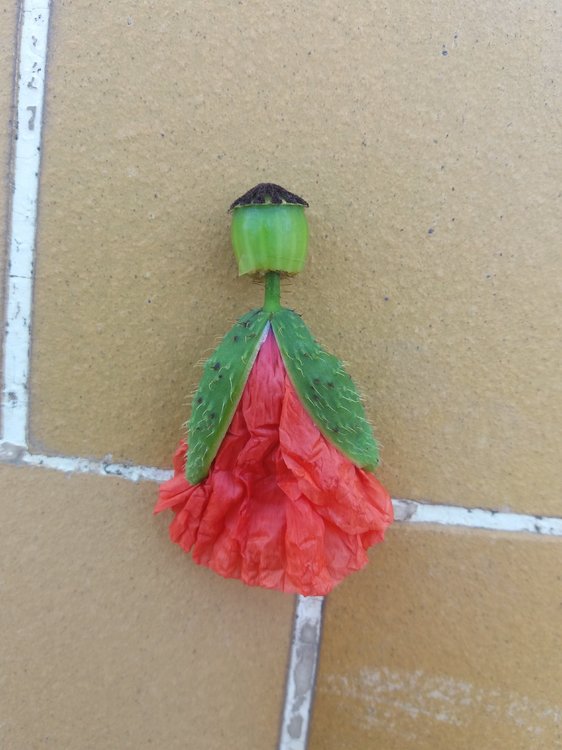 20180515_140157.jpg