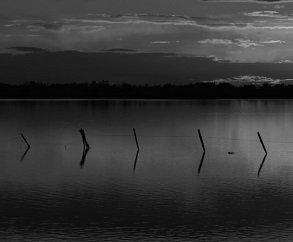 "Love In The Darkness Between Two Souls, The Symbiosis (Dark Side)"