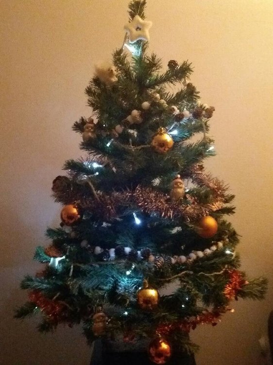 Sapin2.jpeg