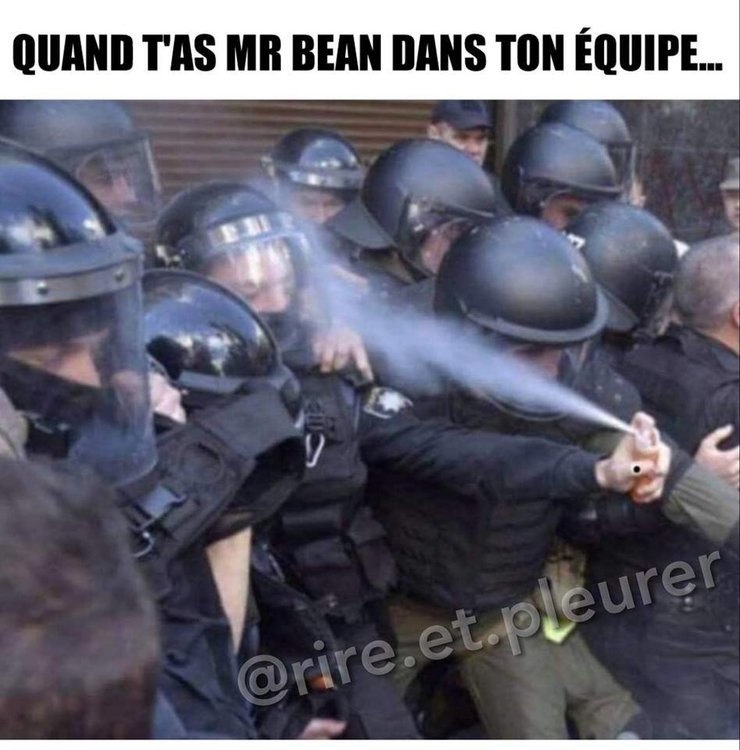 bean.jpg