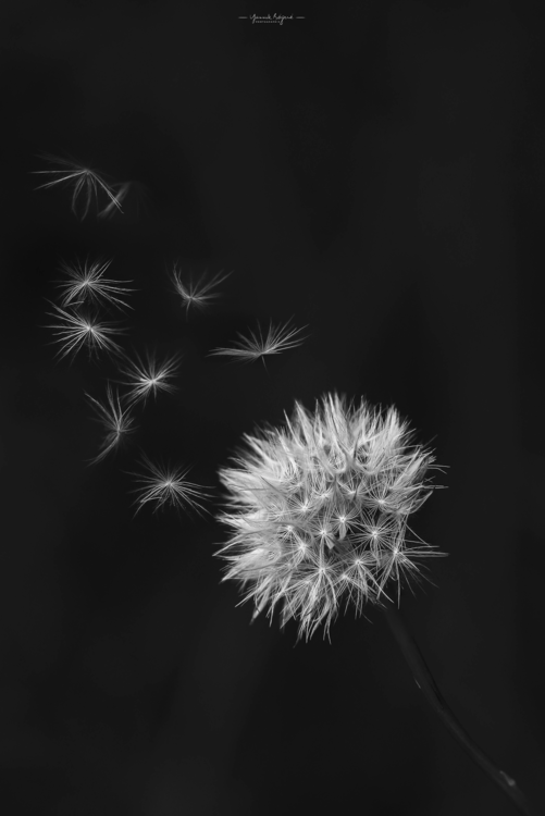 image.thumb.png.dc05f7d25168b4f43be428d6afb82a7a.png