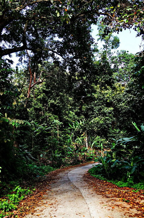 DSC00015.JPG