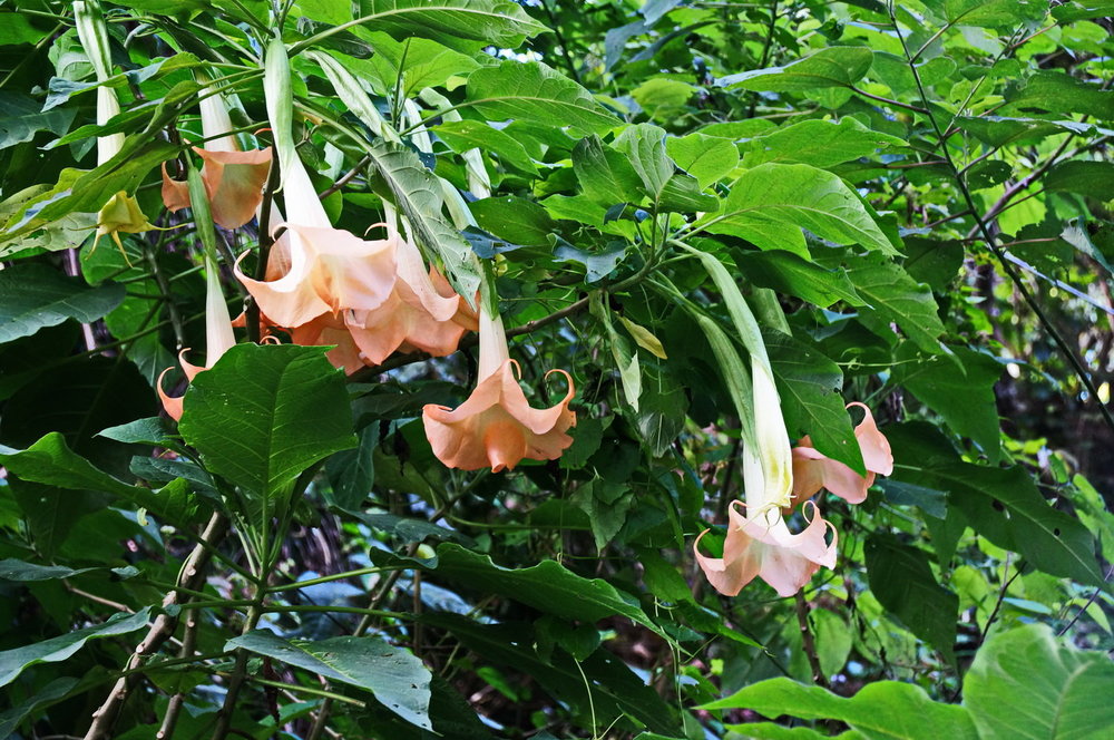 DSC00030.JPG