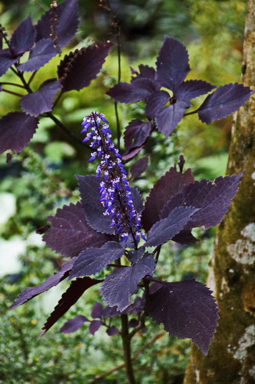 DSC00035.JPG