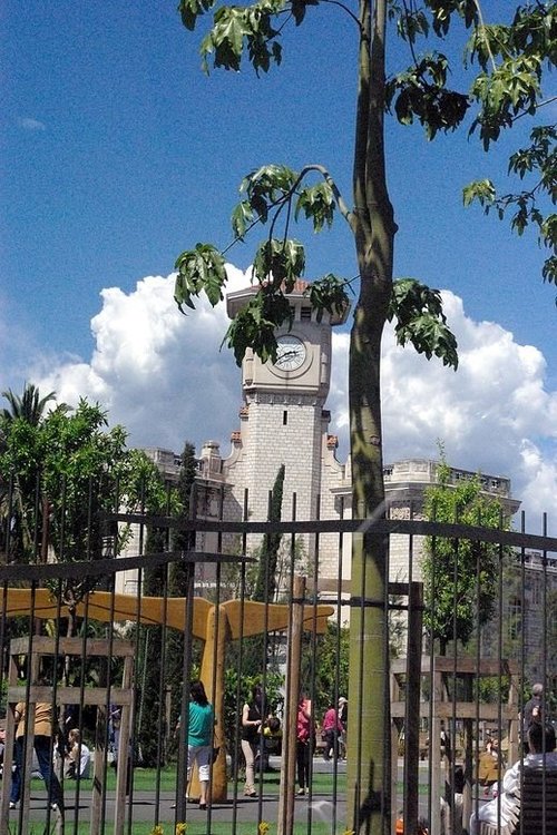 IMGP9698.JPG