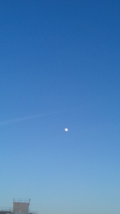 20190217_181317.jpg