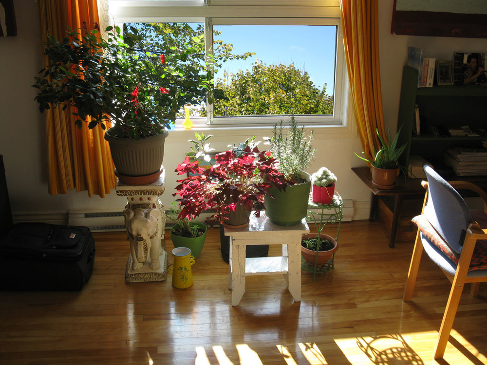 chambre fleur fenêtre appartement.jpg