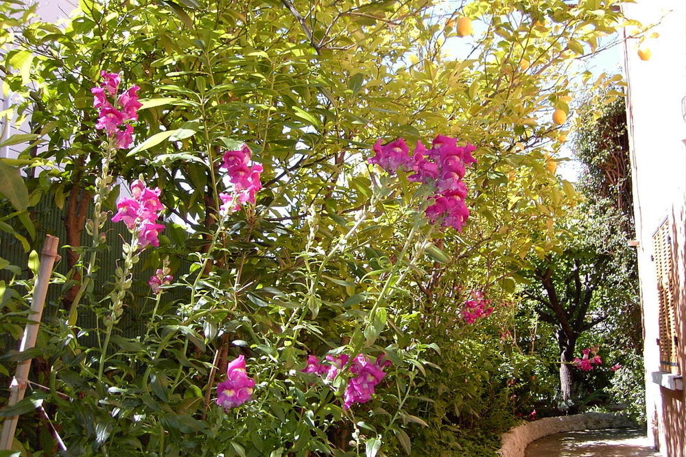 158b.jpg
