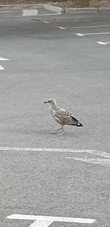 20190615_202728.jpg