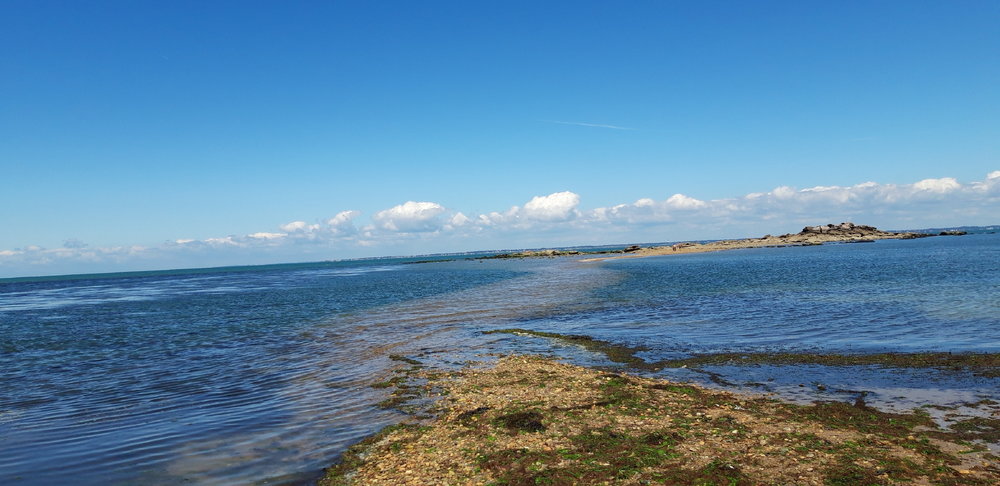20190620_143805.jpg