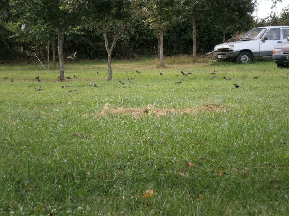 P9020187.JPG