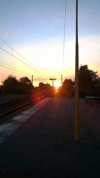 WP_20161029_001.jpg