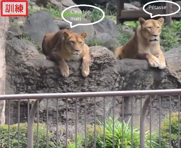 Zoo.jpg.f766813b9cc2f0f1bd055c687384db6b.jpg