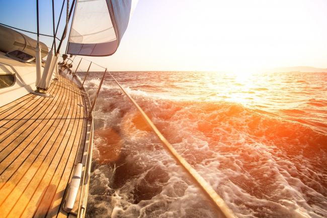Voyage en image (volume II)