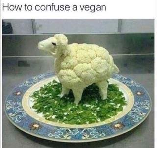 vegan.jpg.a1b74fd9f21a2f6793a9ff00e63c5a5a.jpg